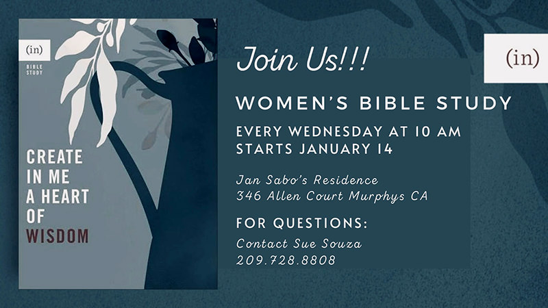 The Women's Bible Study Group's new study topic